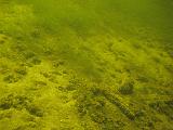 2009-08-01 14-15-01S